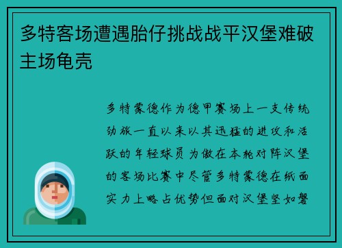 多特客场遭遇胎仔挑战战平汉堡难破主场龟壳